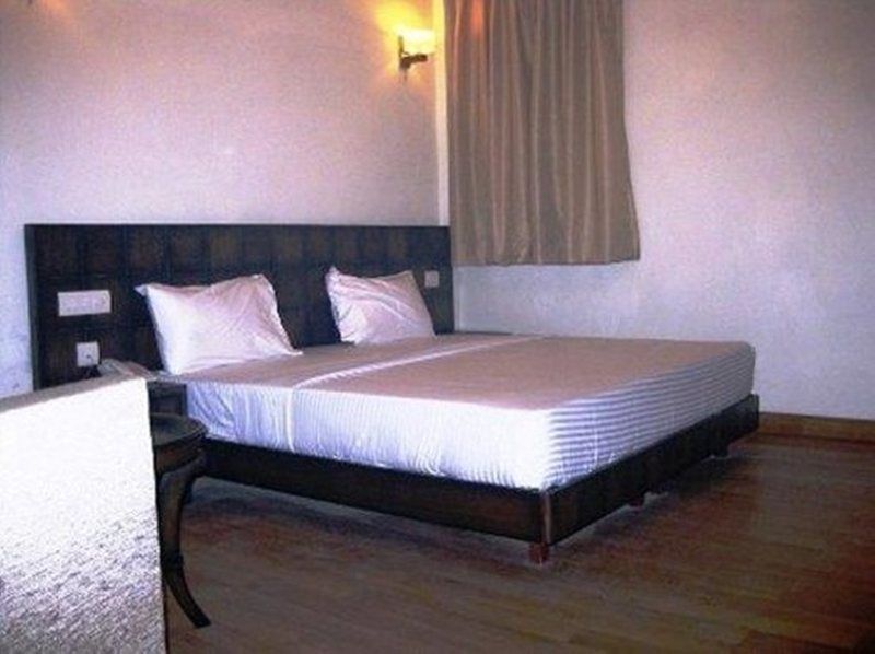Hotel Alpine Tree New Delhi Room photo